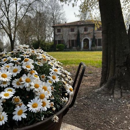 Agriturismo Corte San Girolamo Mantova Eksteriør bilde