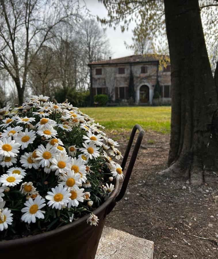 Agriturismo Corte San Girolamo Mantova Eksteriør bilde