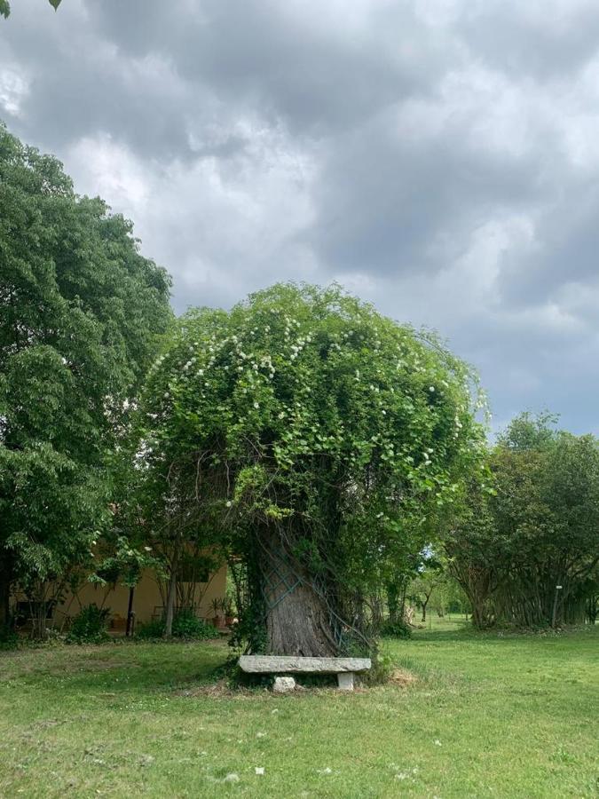 Agriturismo Corte San Girolamo Mantova Eksteriør bilde