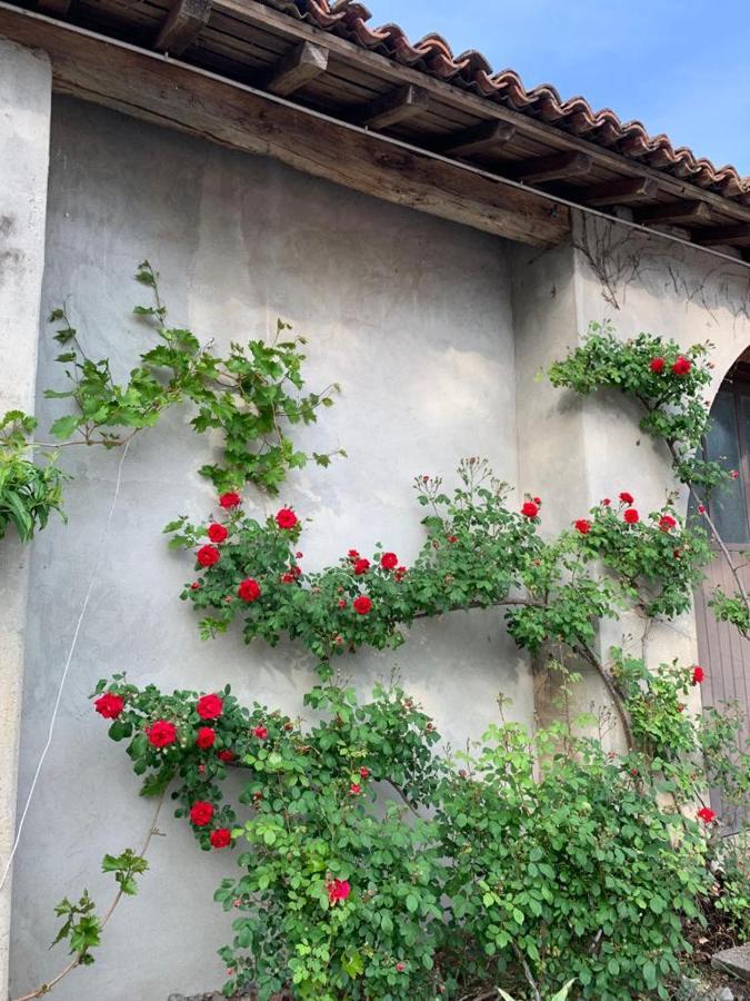 Agriturismo Corte San Girolamo Mantova Eksteriør bilde