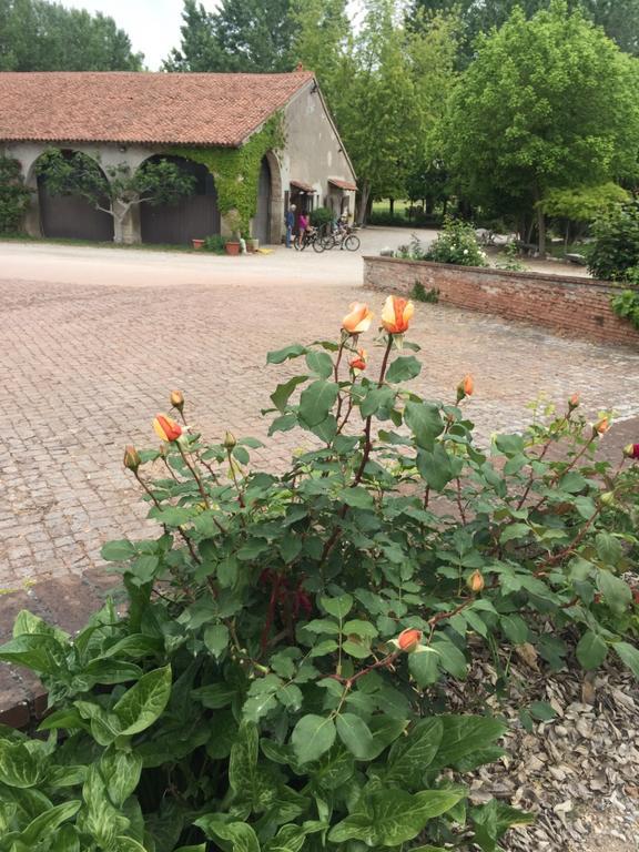 Agriturismo Corte San Girolamo Mantova Eksteriør bilde