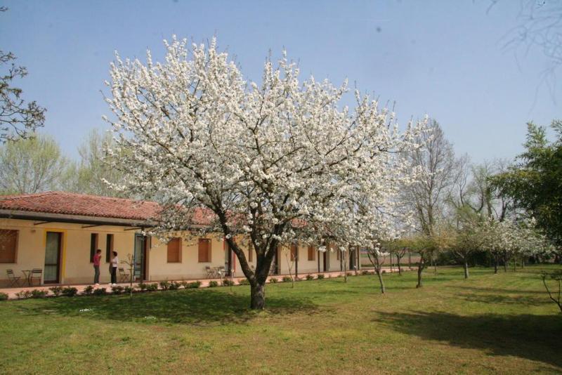 Agriturismo Corte San Girolamo Mantova Eksteriør bilde